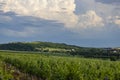 Traditional wine cellars (Gombos-hegyi pincesor) in Hercegkut, UNESCO site, Great Plain, North Hungary