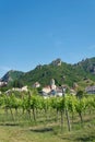Traditional wine growing near the village Duernstein in Austria Royalty Free Stock Photo