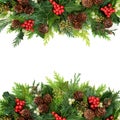 Traditional Winter Christmas and New Year Greenery Border