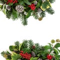 Traditional Winter Floral Border Royalty Free Stock Photo