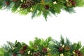 Traditional Winter Greenery Background Border