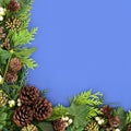 Traditional Winter Greenery Background Border Royalty Free Stock Photo