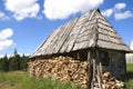 Traditional wood house