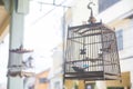 Traditional wooden bird cage