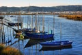 Traditional wooden boats in Lima river Royalty Free Stock Photo