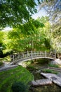 Traditional wooden bridge on a japanese garden pond Royalty Free Stock Photo