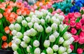 Traditional wooden colorful tulips at souvenir shop in Amsterdam Royalty Free Stock Photo