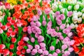 Traditional wooden colorful tulips at souvenir shop in Amsterdam Royalty Free Stock Photo