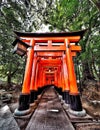 Red Temple Gates at the Fushi Inari Shrine in Kyoto, Japan Royalty Free Stock Photo