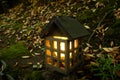 Traditional wooden japanese lantern toro, illuminating a walkway, with fallen autumn leaves, Aso-Kuju National Park, Japan.