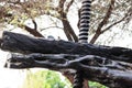 Twooden press, detail the screw allows the bundle to fall to crush the grapes to extract the must and the wine ICA PERU