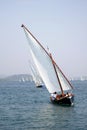 Traditional wooden sailboats with latin sails