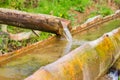 Wooden water drinking trough for domestic cattle in Carpathians Royalty Free Stock Photo