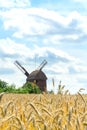 Traditional wooden windmill seen through a rye field. Selective focus. Blue sky and white clouds. Rural summer landscape. Royalty Free Stock Photo