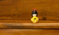 Traditional, yellow, wooden Japanese toy