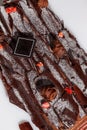 Traditional Yule log with chocolate shavings and candied berries Royalty Free Stock Photo