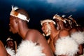 Traditional Zulu warriors dancing in full regalia in South Africa