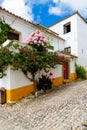 Traditional Ãâbidos house in Postugal