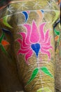 Traditionally decorated elephant head near Amber fort in Jaipur, Rajasthan, India.