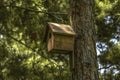 A pentagonal birdhouse with a round hole and a triangular roof on a tree.