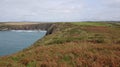 Traeth Llyfn beach .between Porthgain and Abereiddi .Pembrokeshire coast