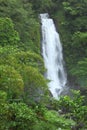 Trafalgar Falls in Dominica ,Caribbean Islands Royalty Free Stock Photo