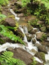 Trafalgar Falls, Trafalgar, Dominica, West Indies Royalty Free Stock Photo