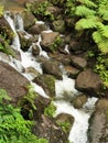 Trafalgar Falls, Trafalgar, Dominica, West Indies Royalty Free Stock Photo