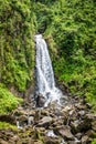 Trafalgar falls, famous waterfall in Dominica, Caribbean Royalty Free Stock Photo