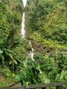 Trafalgar Falls, Trafalgar, Dominica, West Indies Royalty Free Stock Photo