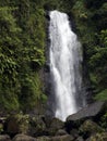 Trafalgar Falls, Roseau, Dominica Island Royalty Free Stock Photo