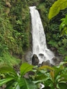 Trafalgar Falls, Trafalgar, Dominica, West Indies Royalty Free Stock Photo