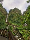 Trafalgar Falls, Trafalgar, Dominica, West Indies Royalty Free Stock Photo