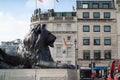 Trafalgar Square Lion Royalty Free Stock Photo