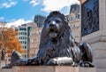Trafalgar square lion at Nelson column, London, UK Royalty Free Stock Photo