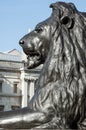 Trafalgar Square lion in profile Royalty Free Stock Photo