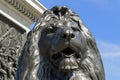 Lion statue Trafalgar Square Royalty Free Stock Photo