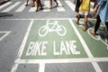 Traffic bike lane