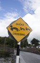 Traffic caution sign for Ducks Crossing Royalty Free Stock Photo