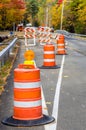 Traffic Cones along a Forest Road Royalty Free Stock Photo