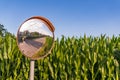 The traffic curve mirror in rural area due narrow road and poor visibility Royalty Free Stock Photo