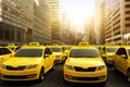 A traffic jam of yellow taxis in a strike