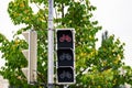Traffic light for bicycles with a prohibitory signal of red color. Royalty Free Stock Photo