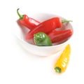 Traffic light chilly pepper