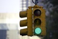 Traffic light on green Royalty Free Stock Photo
