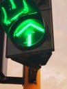 Traffic light green arrow You can move on Royalty Free Stock Photo