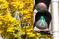 Traffic light with green light on. Signal signifying go! Royalty Free Stock Photo