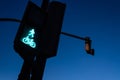 Traffic light in green for pedestrians and cyclists, with the figure of a cyclist. Night background for the concept of freeway and Royalty Free Stock Photo