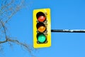 Traffic light Montreal downtown Royalty Free Stock Photo