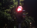 Traffic light at night-time showing red